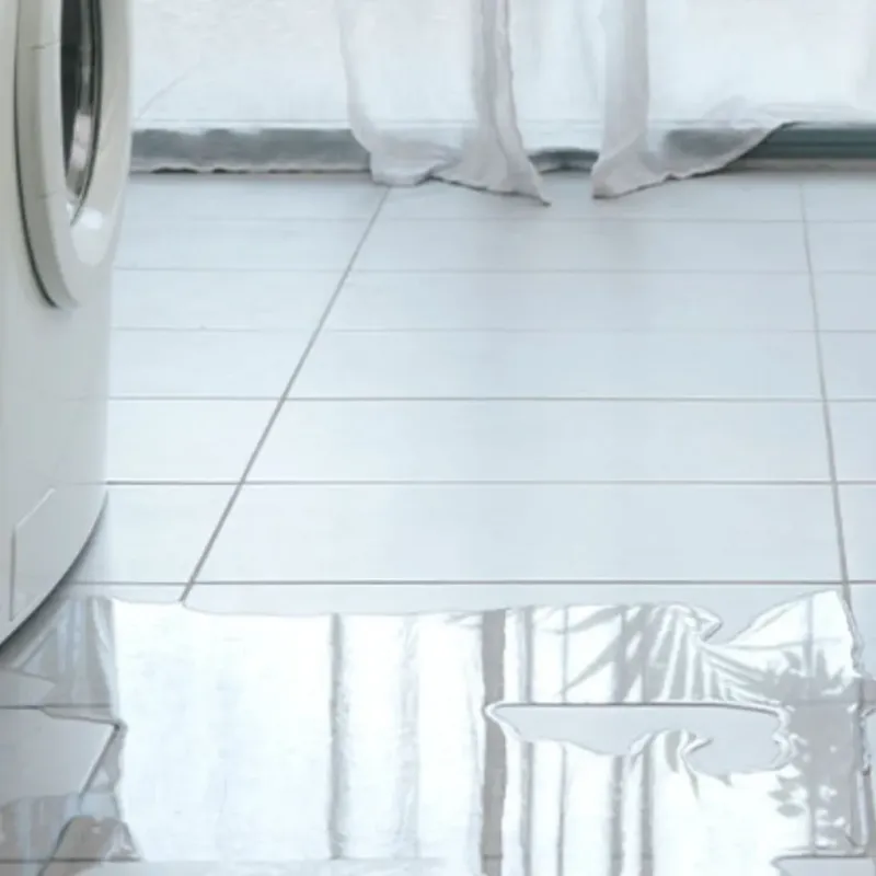 Appliance Leak Cleanup in Swartz, LA