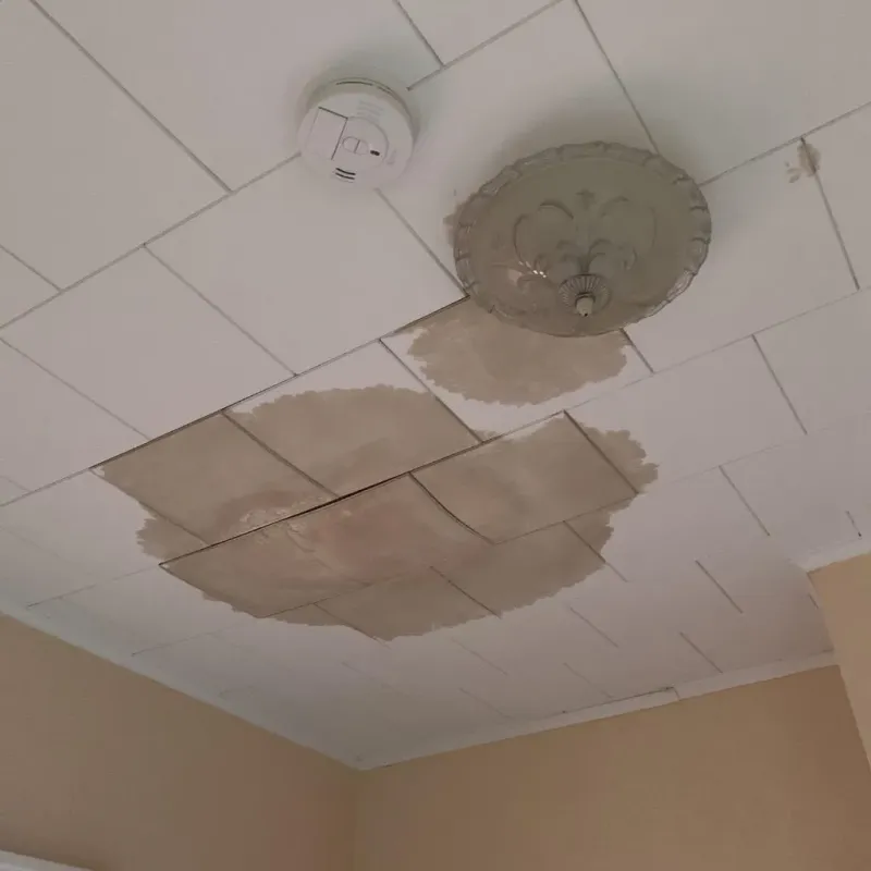 Ceiling Water Damage Repair in Swartz, LA