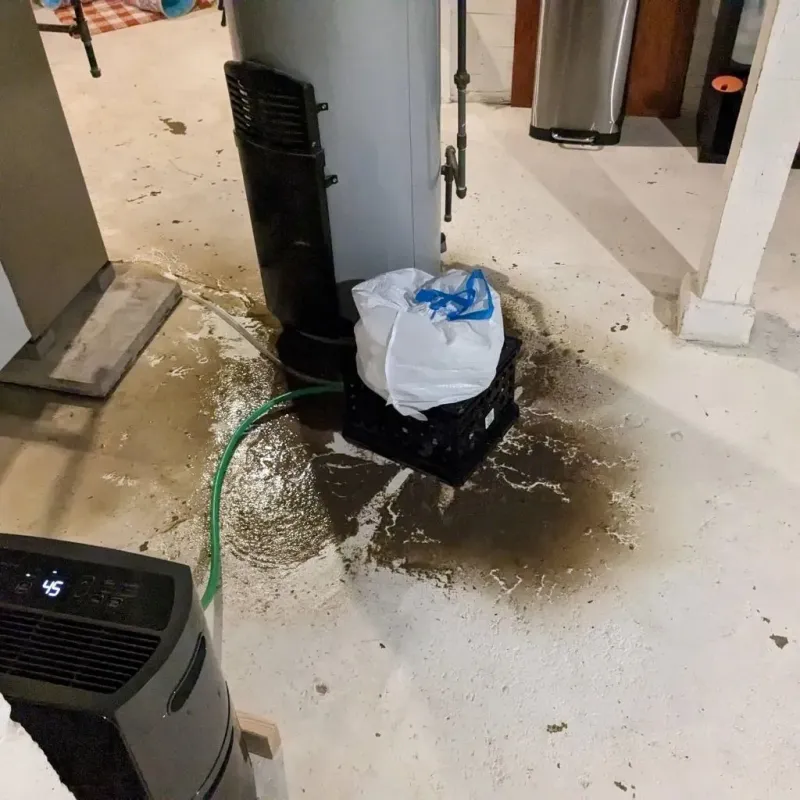 Sewage Backup Cleanup Service in Swartz, LA